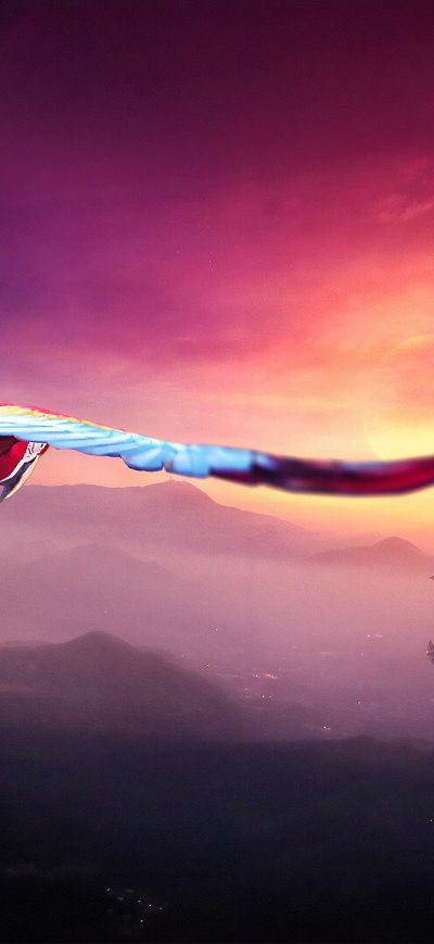 Fond d'écran iPhone Macaw Flight Digital Art 4k