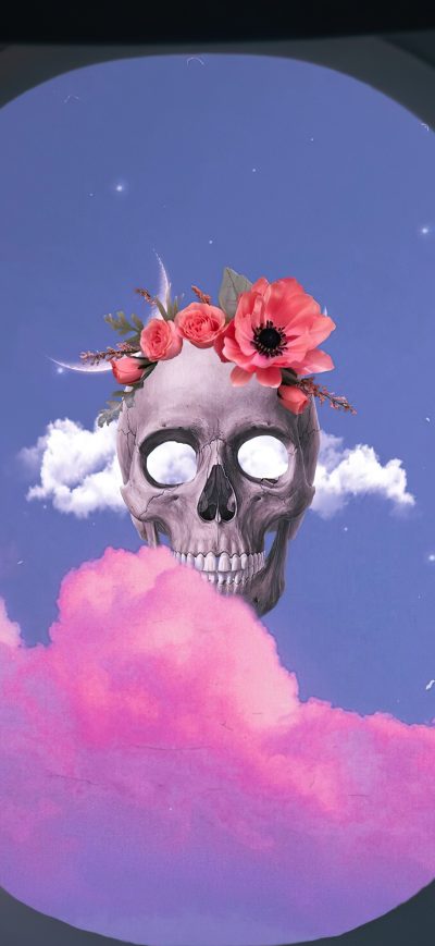 Fond d'écran iPhone Skull From Flight
