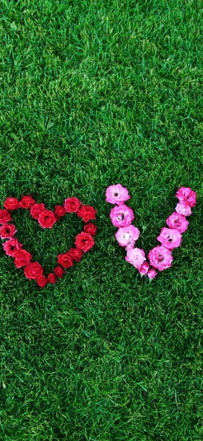 Fond d'écran iPhone LOVE Flower Art