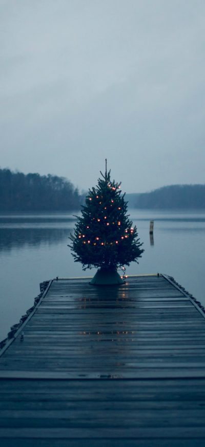 Fond d'écran iPhone Christmas Tree On Pier