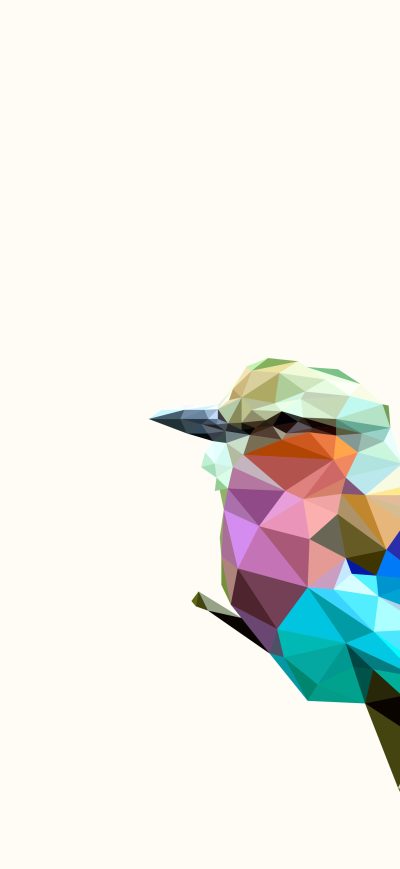 Fond d'écran iPhone Bird Rainbow Polyart