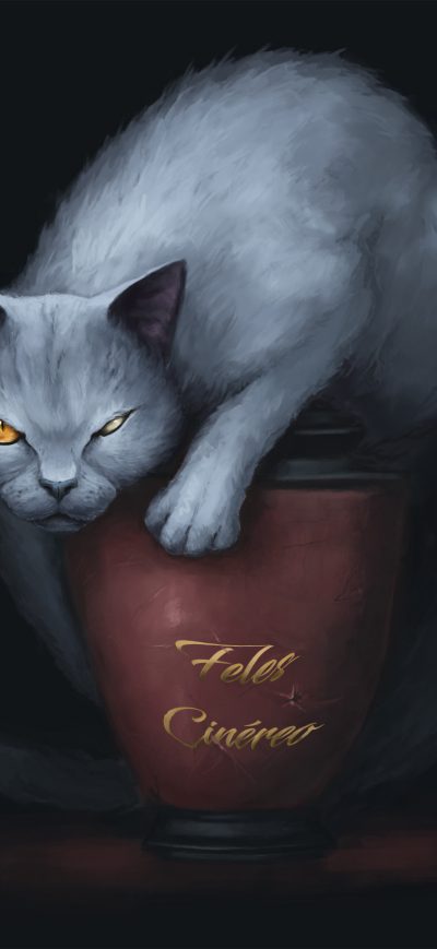 Fond d'écran Feles Cinereo Cat sur iPhone