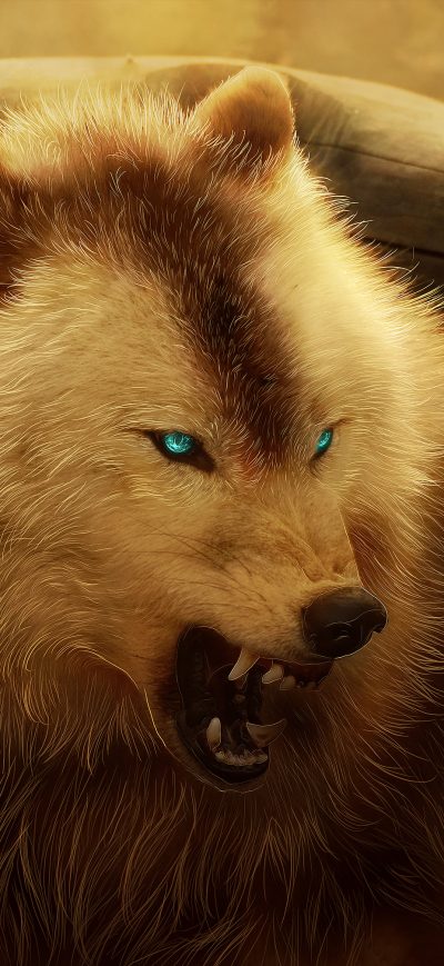 Fond d'écran iPhone Angry Wolf 4k