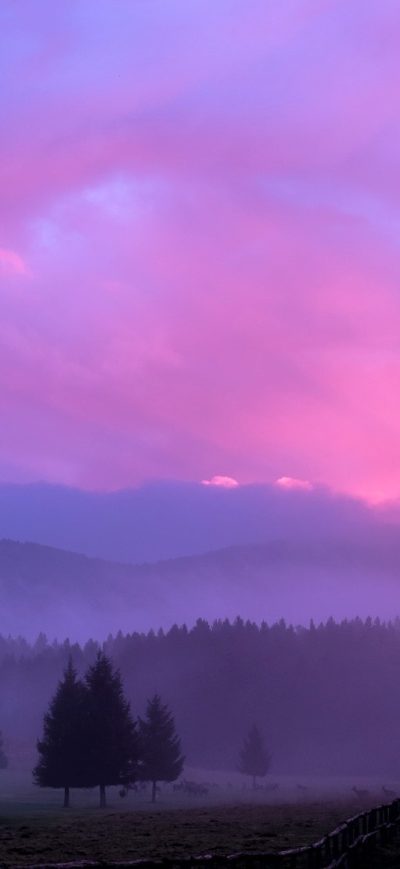 Fond d'écran iPhone Misty Pink Sunset