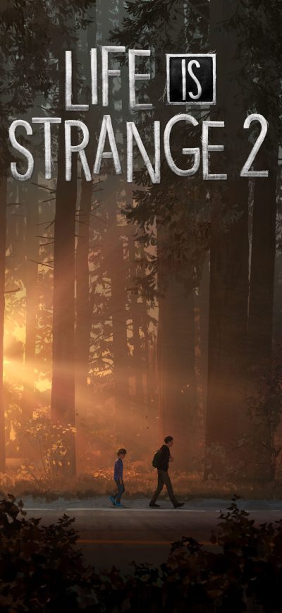 Fond d'écran iPhone Life Is Strange 2 2018 8k