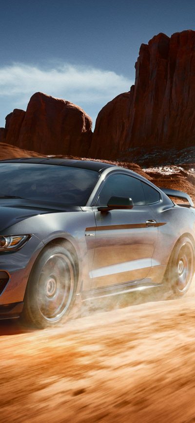 Fond d'écran iPhone Ford Mustang Shelby GT350