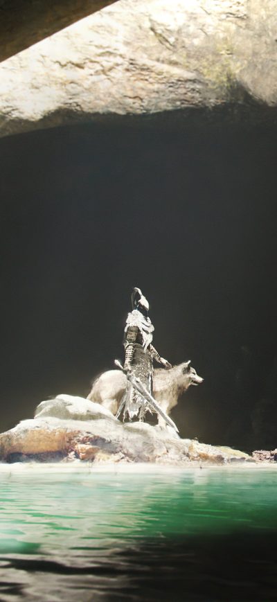 Fond d'écran iPhone Exploring Abyss Artorias Sif