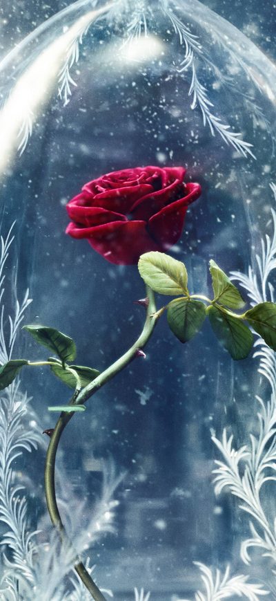 Fond d'écran iPhone Beauty And The Beast Original 4k