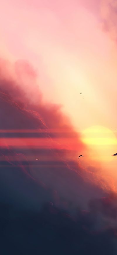 Fond d'écran iPhone Birds Sunset Clouds 4k
