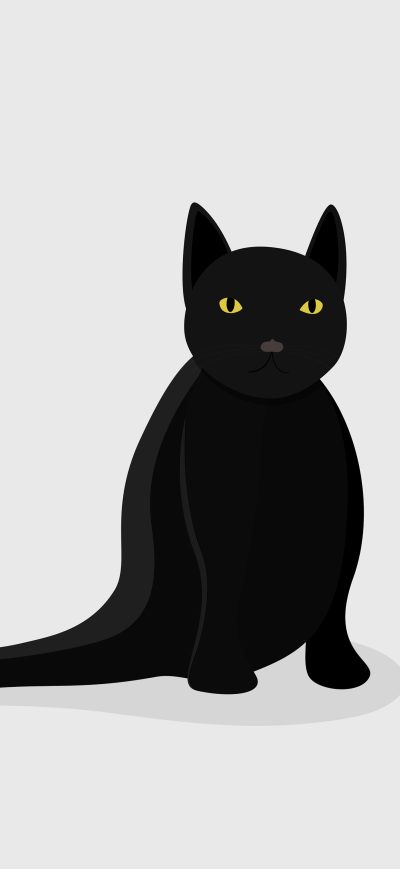 Fond d'écran Black Cat Minimal 5k sur iPhone
