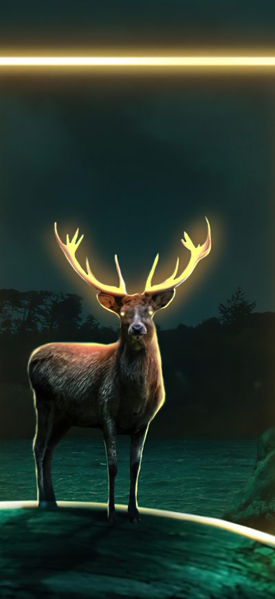 Fond d'écran iPhone Deer Glow Door 5k