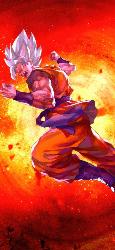 Fond d'écran iPhone Dragonball Super