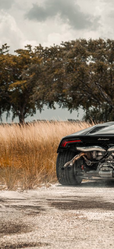 Fond d'écran iPhone Bareback Huracan 8k