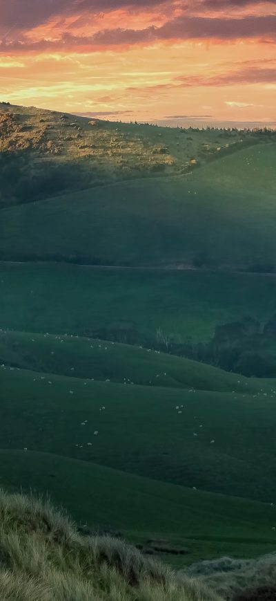 Fond d'écran iPhone Dunedin New Zealand 4k