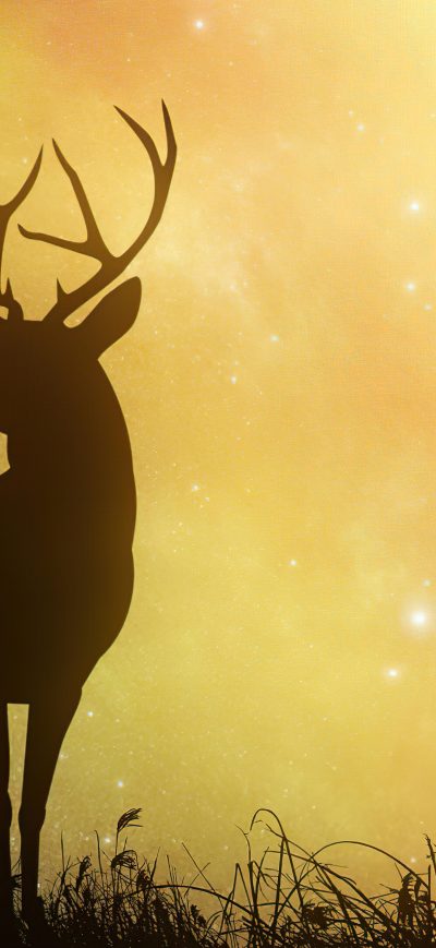 Fond d'écran iPhone Reindeer In Yellow Planet 5k