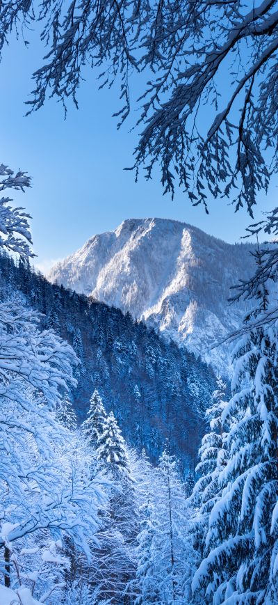 Fond d'écran iPhone Snow Alps Austria 5k