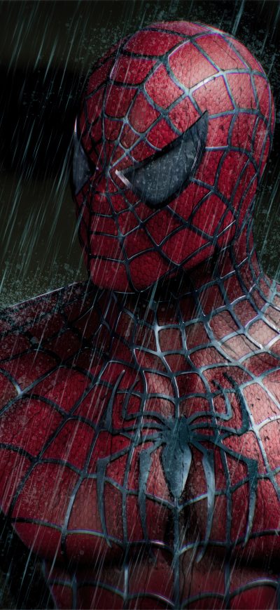 Fond d'écran iPhone The Spiderman