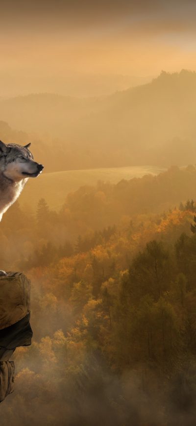 Fond d'écran iPhone Wolf Standing On Edge 4k