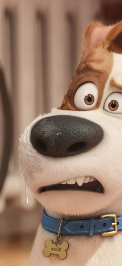 Fond d'écran iPhone Max The Secret Life Of Pets