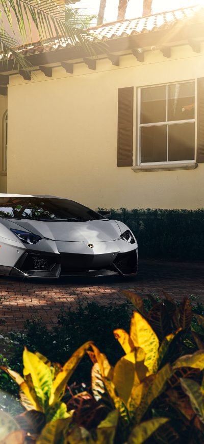Fond d'écran White Lamborghini Aventador sur iPhone
