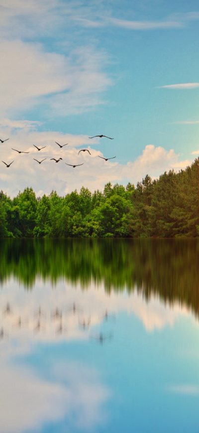 Fond d'écran iPhone Beautiful Lake Birds Flying