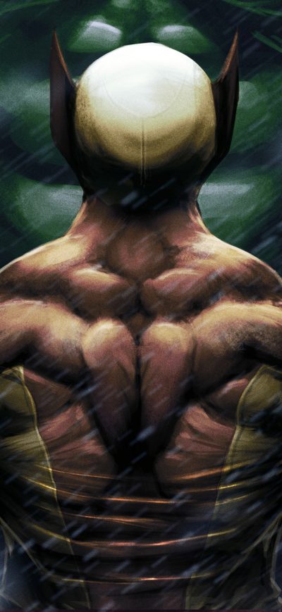 Fond d'écran iPhone Wolverine Vs Hulk