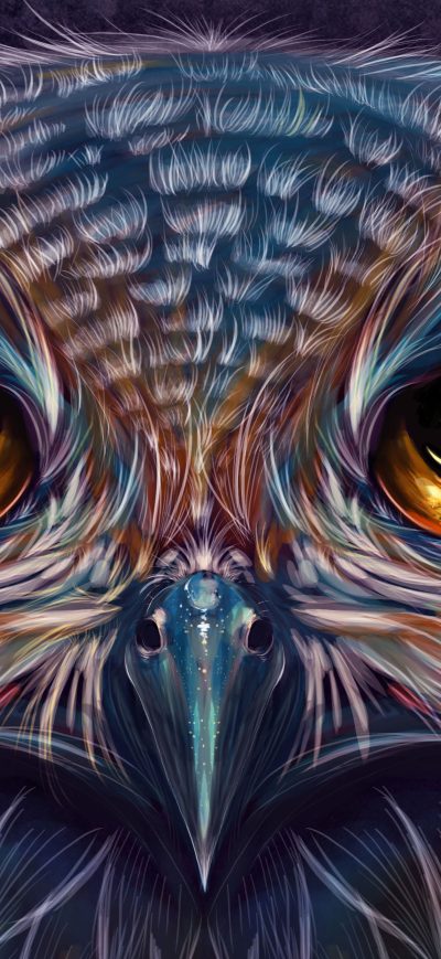 Fond d'écran iPhone Owl Colorful Art 5k