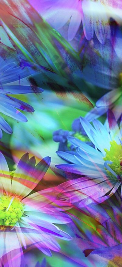 Fond d'écran iPhone Spring Flowers Abstract