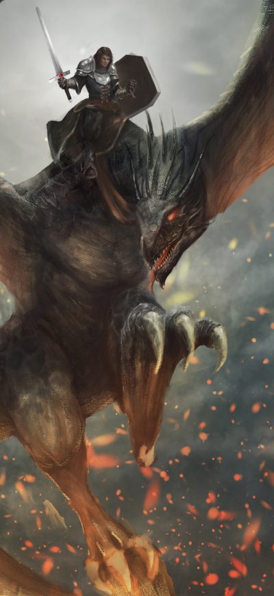 Fond d'écran iPhone Dragon Knight