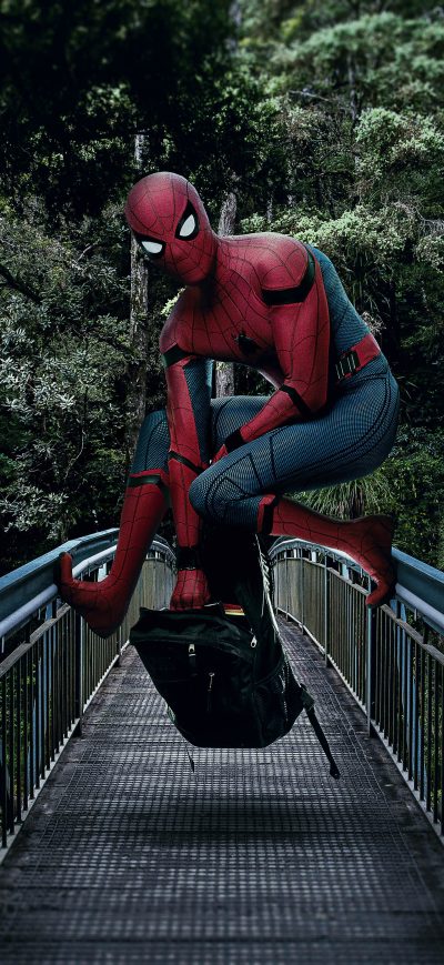 Fond d'écran iPhone Spiderman On The Bridge