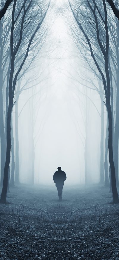 Fond d'écran iPhone Walking Alone In Dappled Sunlight Forest Covered By Trees 5k