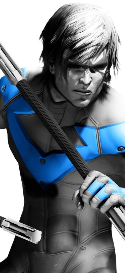 Fond d'écran iPhone Arkham City Nightwing