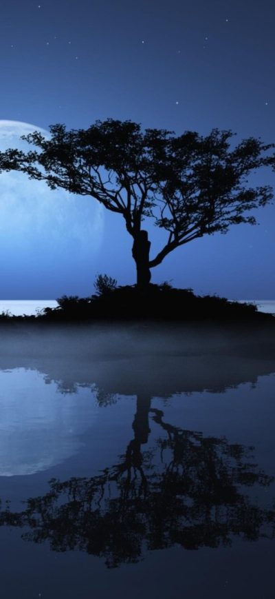 Fond d'écran iPhone Island Sky Moon Tree