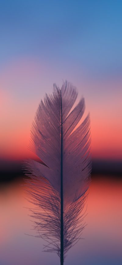 Fond d'écran iPhone Feather Focus Blur Sunset 5k