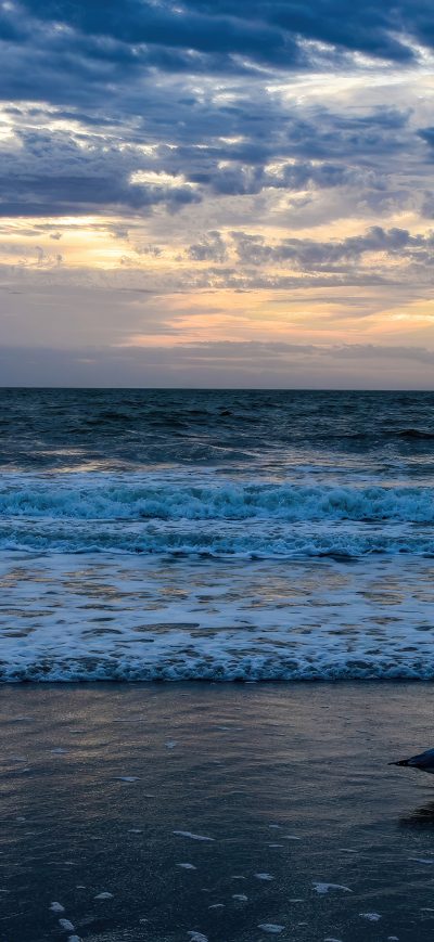Fond d'écran iPhone Sunrise Ocean 4k