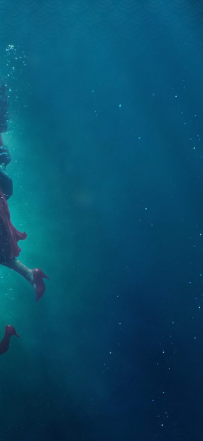 Fond d'écran iPhone The Shape Of Water 8k