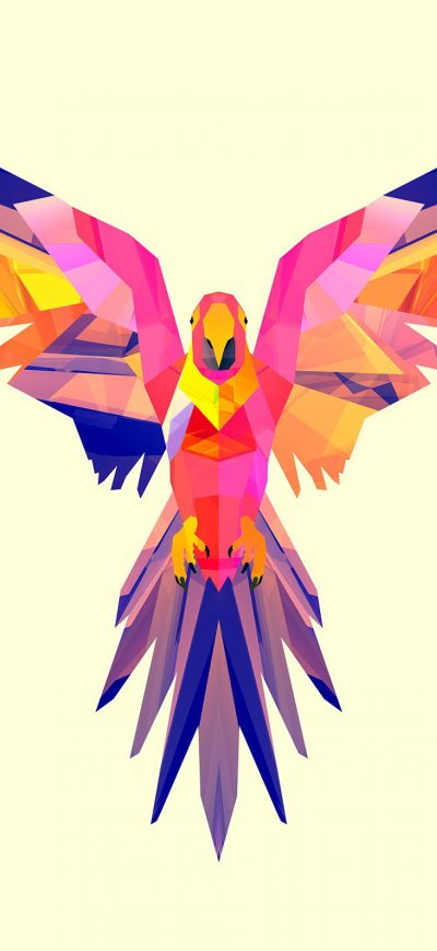 Fond d'écran iPhone Parrot Vector
