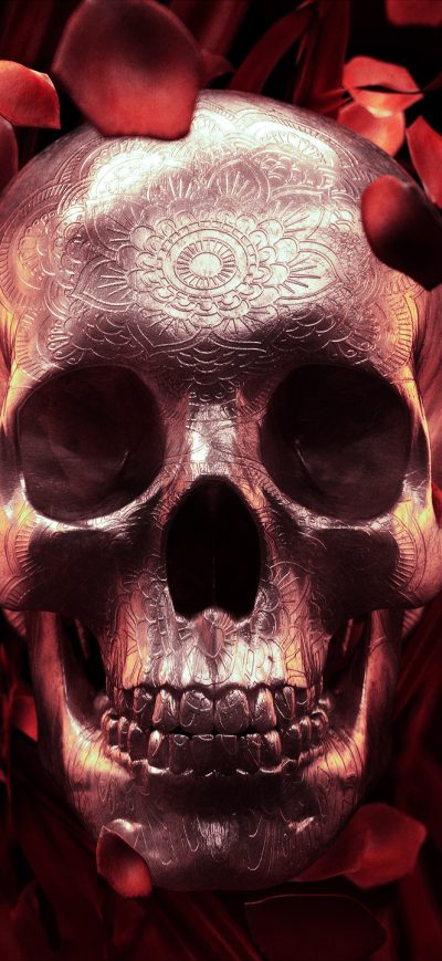 Fond d'écran iPhone Rose Petal Skull