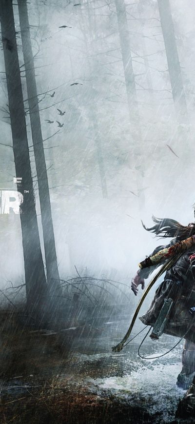 Fond d'écran Tomb Raider Game sur iPhone