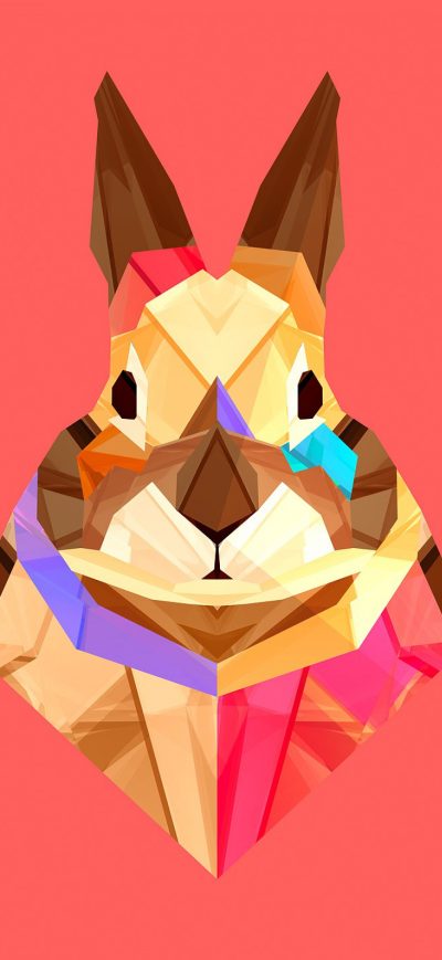 Fond d'écran iPhone Rabbit Vector
