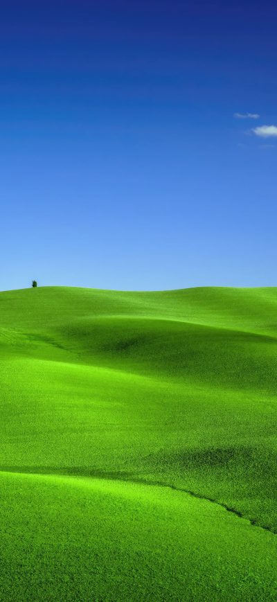 Fond d'écran iPhone Green Meadows In Tuscany Landscape Scenery 4k