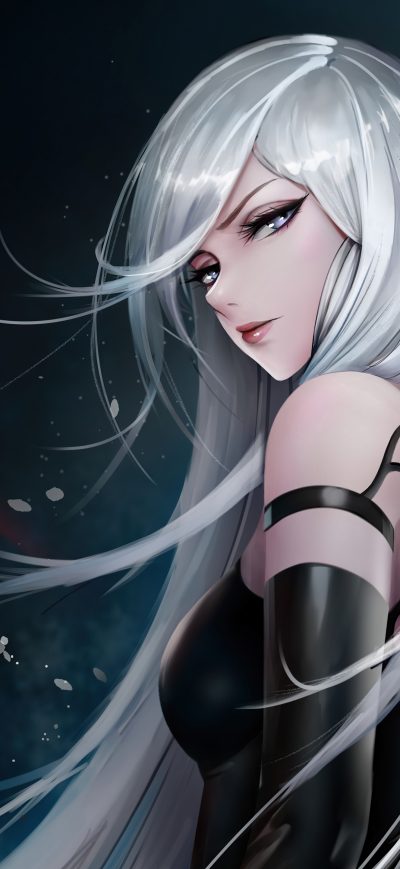 Fond d'écran iPhone 2A Nier