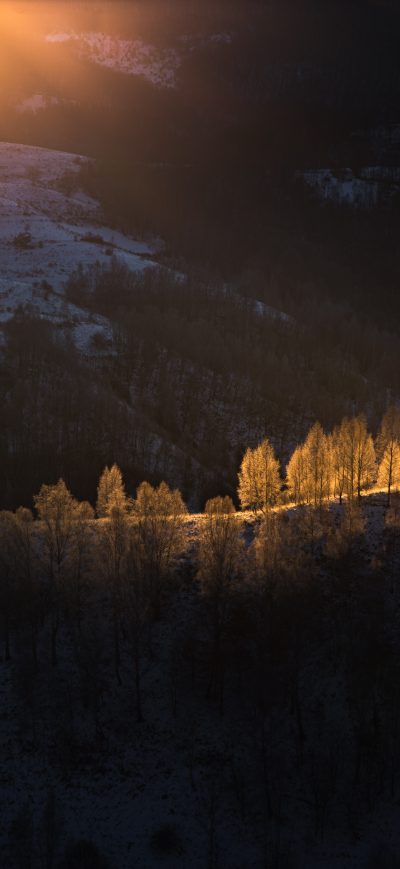 Fond d'écran iPhone Sun Beams With Golden Light Over The Frozen Trees