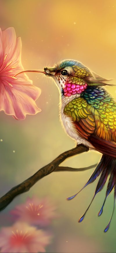 Fond d'écran iPhone Hummingbird Fantasy Abstract Fractal