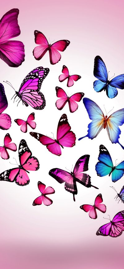 Fond d'écran iPhone Butterfly Art 2