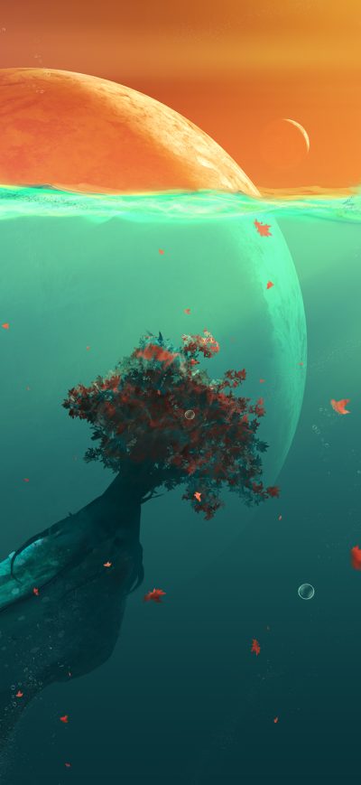 Fond d'écran Calm World sur iPhone