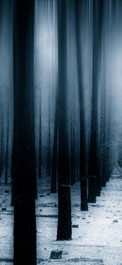 Fond d'écran iPhone Dark Forest Woods Snow Winter 8k