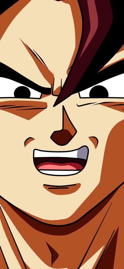 Fond d'écran iPhone Vegitto Dragon Ball Super
