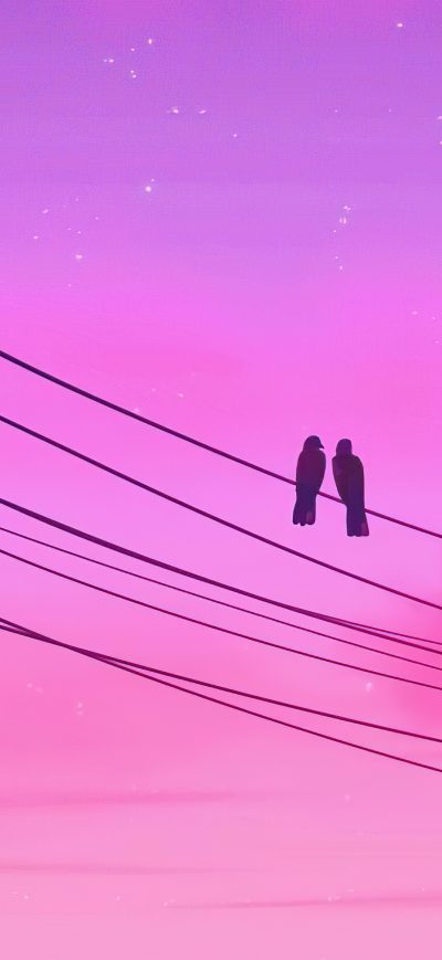 Fond d'écran iPhone Birds Sitting On Electric Power Poles Lines Twilight 5k