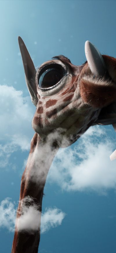 Fond d'écran iPhone Giraffe Passing Plane